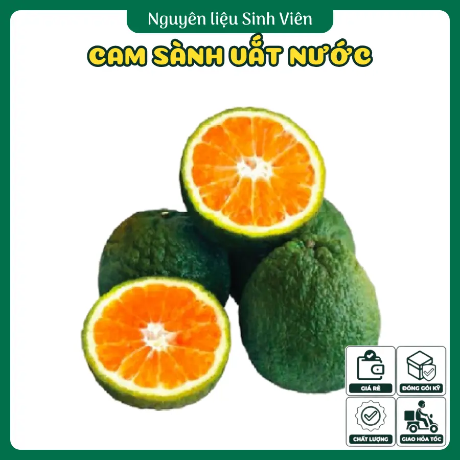 Cam sành vắt nước miền Tây 