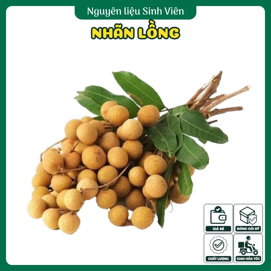 Nhãn lồng Indonesia