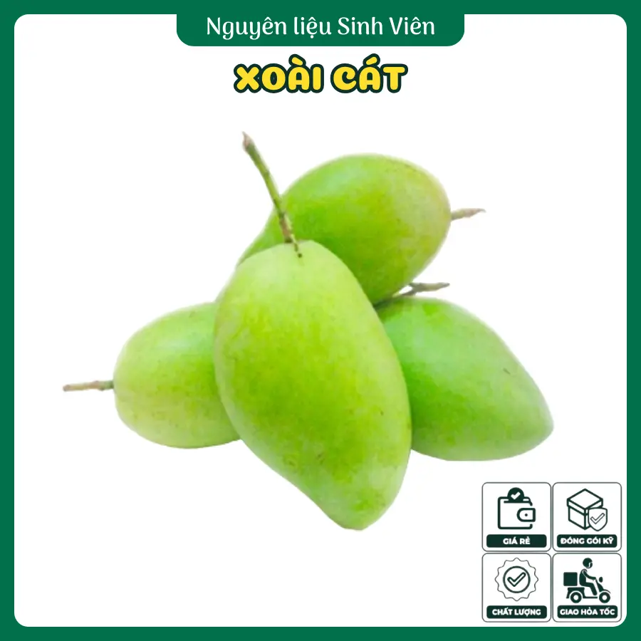 Xoài cát Hòa Lộc miền Tây
