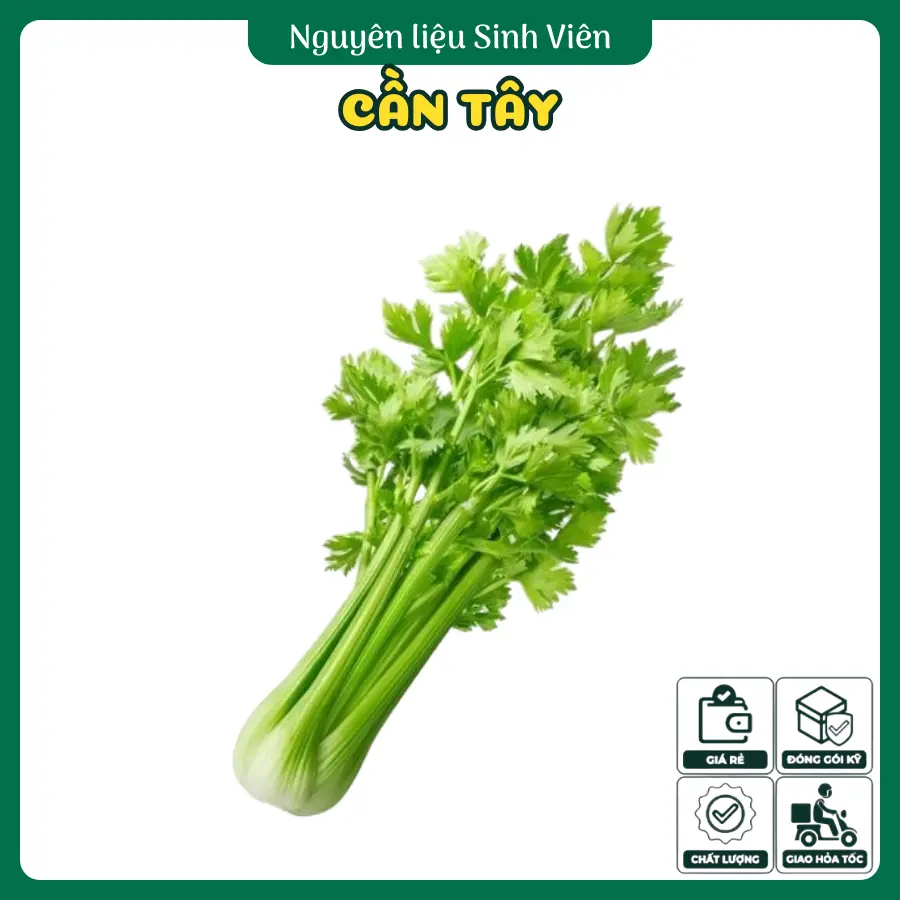 Cần tây Đà Lạt