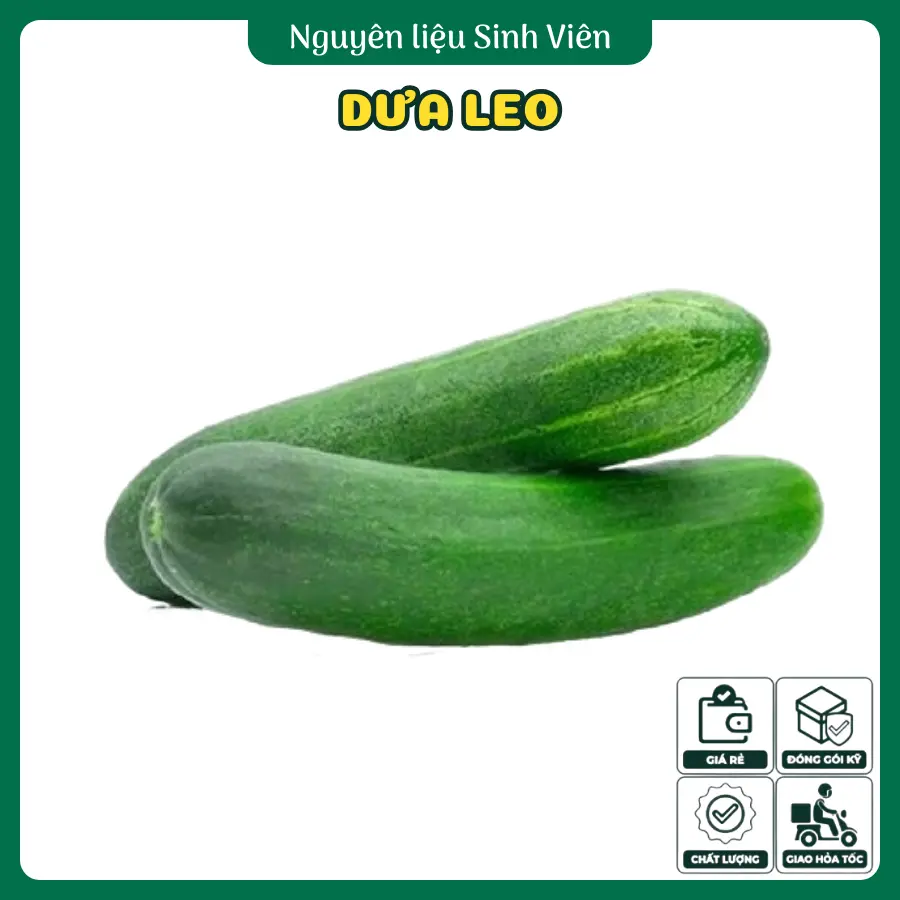 Dưa leo Đà Lạt