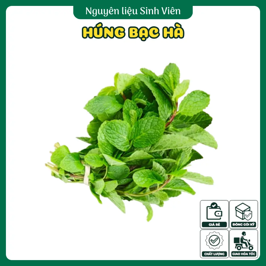 Húng bạc hà