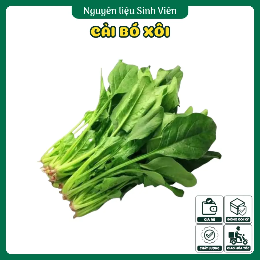 Cải bó xôi Đà Lạt